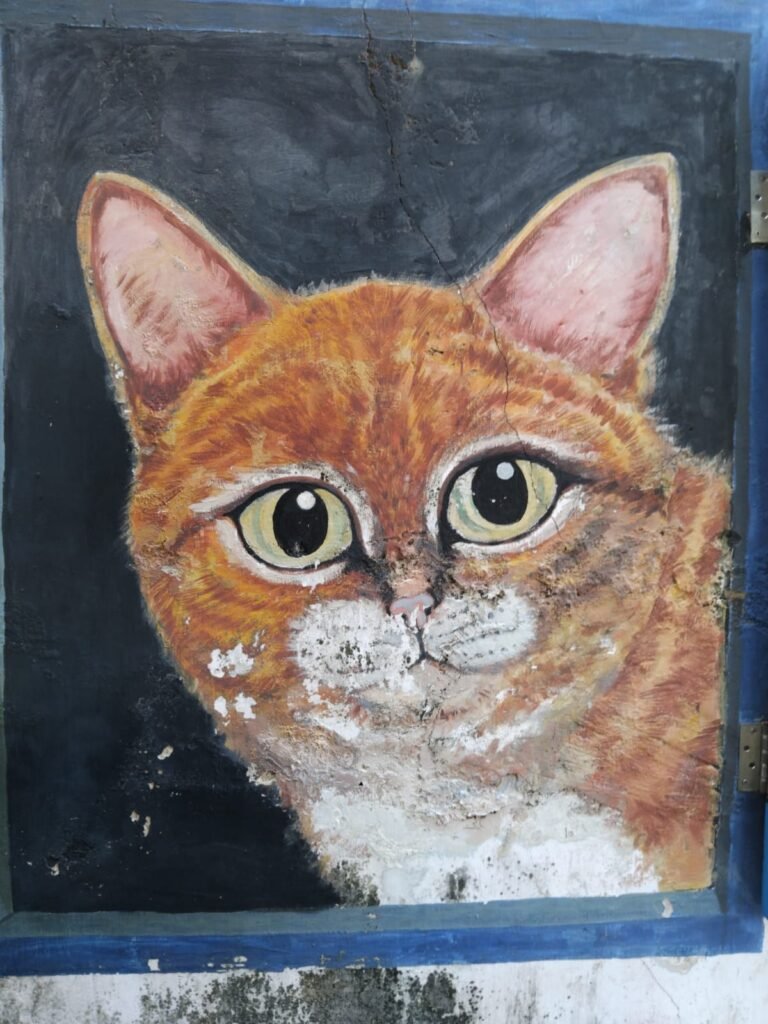 Armenian Street Art Ginger Cat